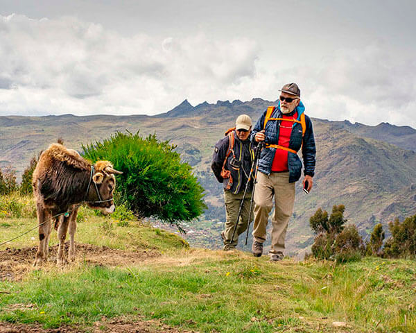 Lares Trek by Peru Trip Advisors